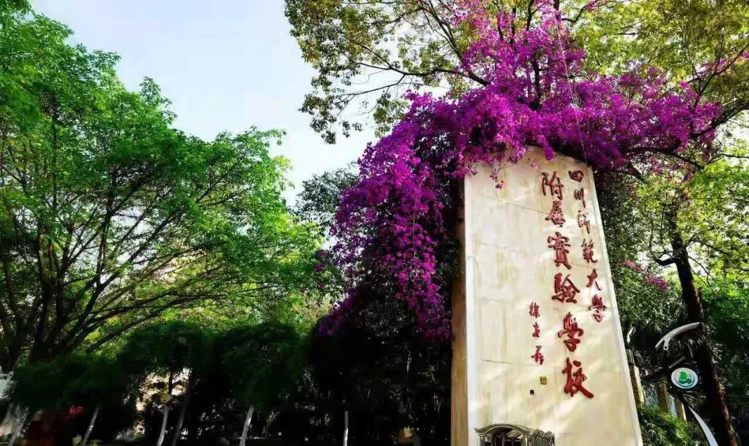又一所官宣升級！成都一貫制學校有哪些了？